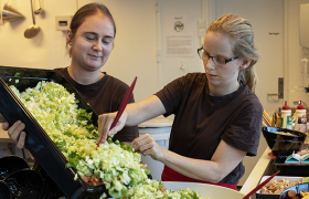 Kantinemedarbeidere forbereder salat